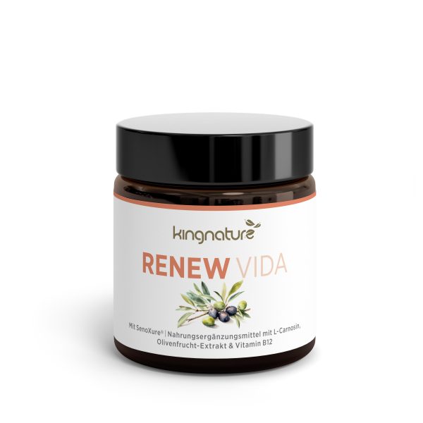RenewVida_Jar_Front_v1.0 Ein braunes Glas mit schwarzem Deckel mit der Aufschrift „kingnature RENEW VIDA“. Das Etikett zeigt Oliven und grüne Blätter und hebt L-Carnosin, Olivenfruchtextrakt, Vitamin B12 und natürliche Inhaltsstoffe hervor.